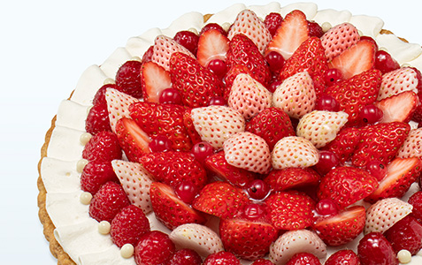 【新商品】2色のイチゴのジュエルタルト