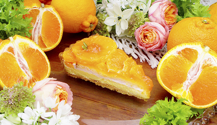 熊本県天草産 不知火（しらぬい）“浅海月（あさみつき）”のタルト