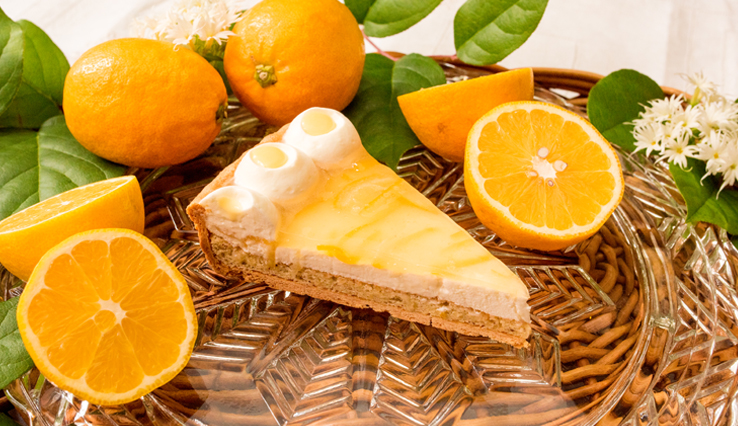 静岡県伊豆産 “ハニーライム”とレモンクリームのタルト