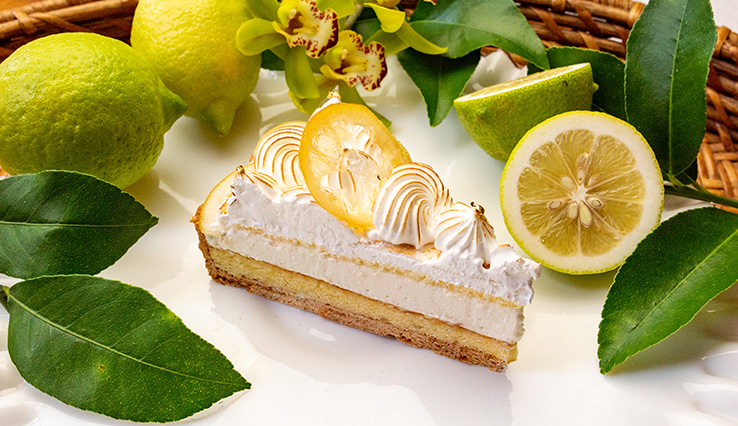 【新作・店舗限定】愛媛県今治市産 “越智今治レモン”のタルト