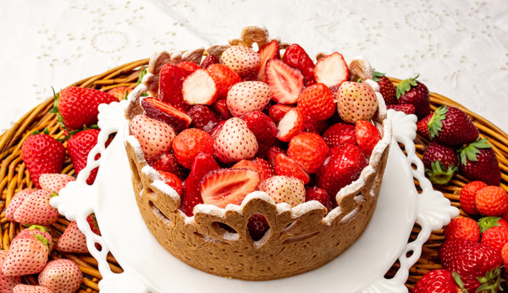 〜タルトティアラ〜 5種のイチゴのタルト