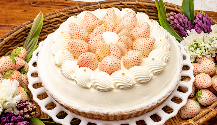 【店舗限定】特選 白イチゴ “初恋の香り”のショートケーキタルト