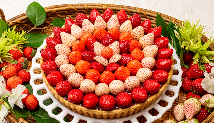 【店舗限定】3種のブランドイチゴのタルト