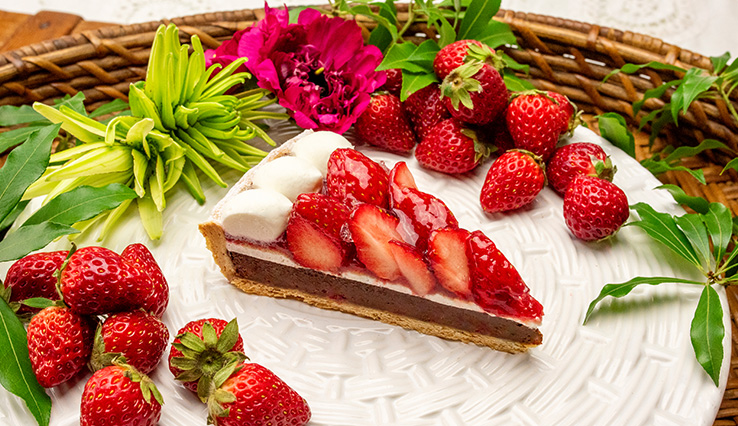 イチゴとテリーヌショコラのタルト