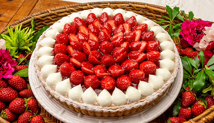 イチゴとテリーヌショコラのタルト