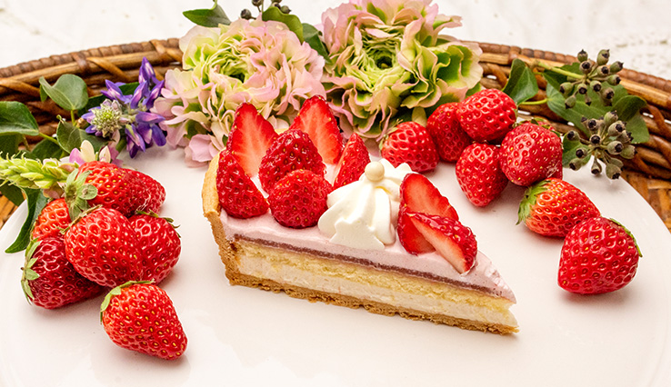 輪花型 イチゴとリボンクリームのタルト