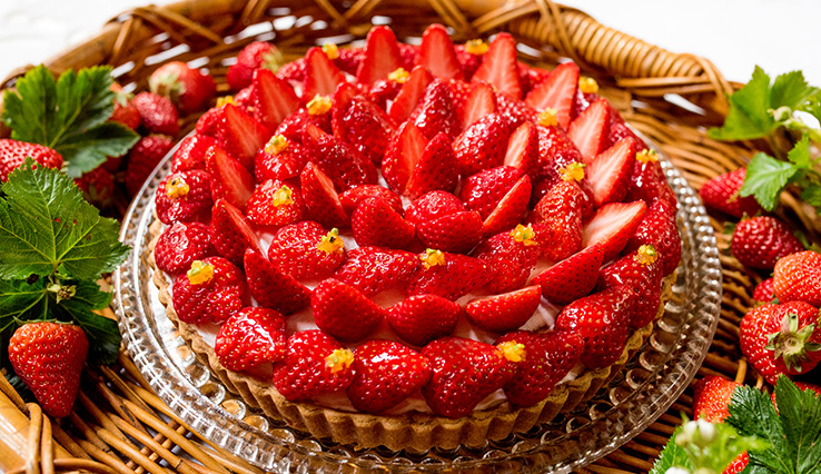 イチゴのムースタルト 東京スカイツリータウン ソラマチ店 メニュー こだわりのタルト ケーキのお店 キルフェボン イチゴのムースタルト 東京スカイツリータウン ソラマチ店 メニュー こだわりのタルト ケーキのお店 キルフェボン