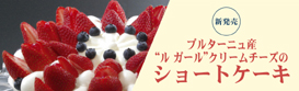 ��ȯ�䡡�֥륿���˥建�ȥ� ������ɥ��꡼��������Υ��硼�ȥ�����