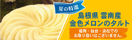 �纬�� ��� �⿧�����Υ����