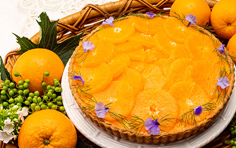 静岡県浜松市産 “白柳ネーブル”のタルト