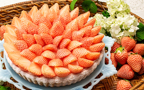 催事出店のお知らせ（伊勢丹 新宿店）