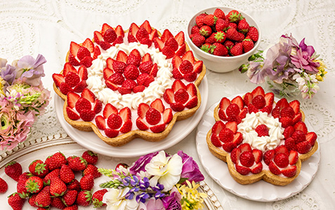 2026 ひなまつり