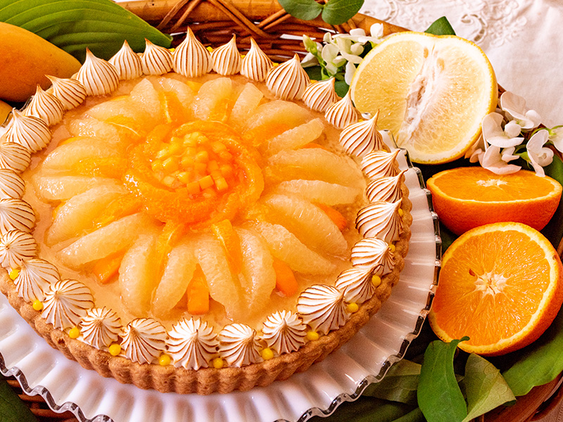 柑橘とマンゴーの甘酸っぱいレアチーズタルト