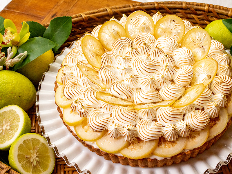 愛媛県今治市産 “越智今治レモン”のタルト
