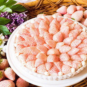 特選 白イチゴ 初恋の香りのタルト