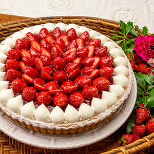 イチゴとテリーヌショコラのタルト