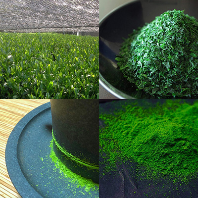 お茶