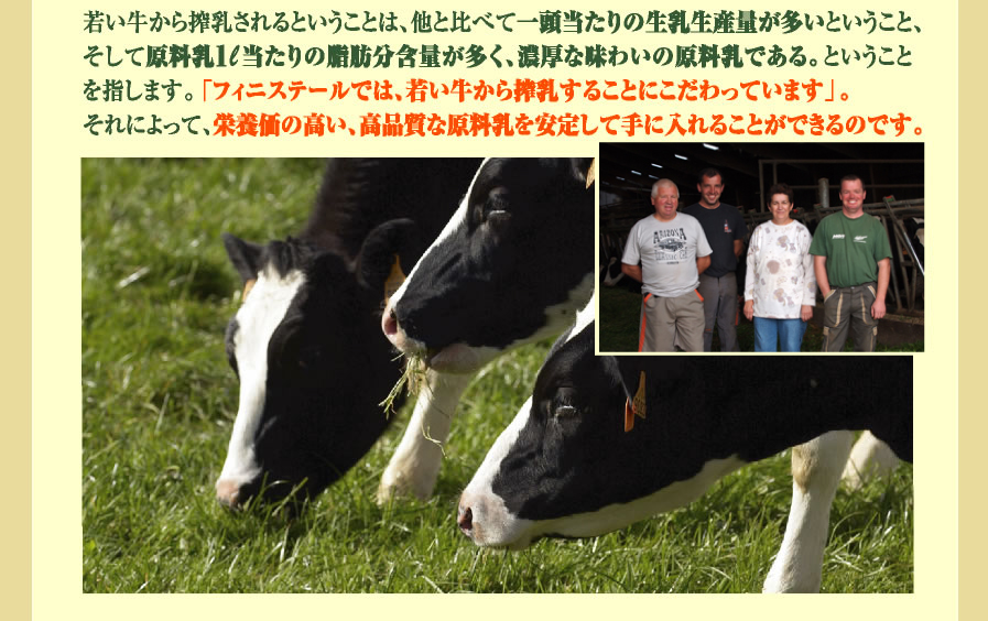 �Ⴂ�������������Ƃ������Ƃ́A���Ɣ�ׂĈꓪ������̐������Y�ʂ������Ƃ������ƁA�����Č�����1l������̎��b���ܗʂ������A�Z���Ȗ��킢�̌������ł���B�Ƃ������Ƃ��w���܂��B�u�t�B�j�X�e�[���ł́A�Ⴂ�����������邱�Ƃɂ�������Ă��܂��v�B����ɂ���āA�h�{���̍����A���i���Ȍ����������肵�Ď�ɓ���邱�Ƃ��ł���̂ł��B